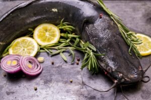 River Sole Fish
