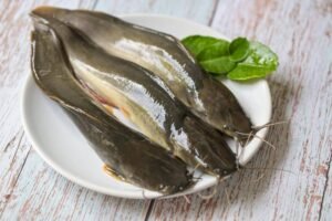 Singara fish